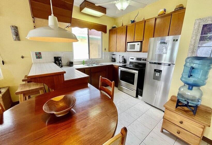 Belizean Reef Suites