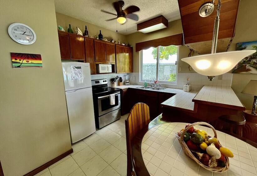 Belizean Reef Suites