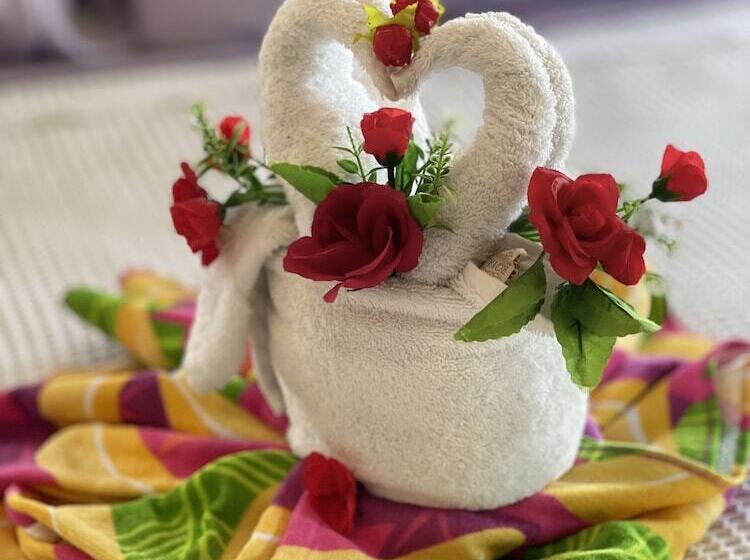 Belizean Reef Suites