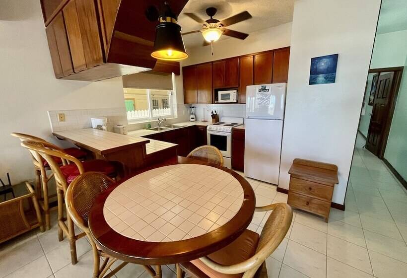 Belizean Reef Suites