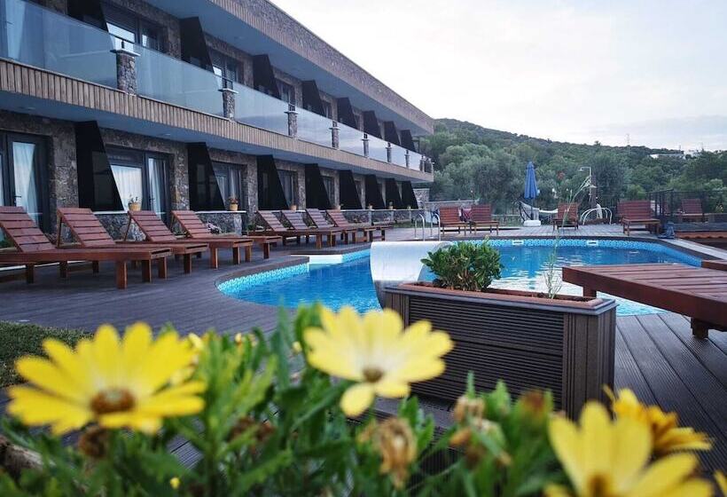 בית מלון כפרי Assos Derin Mavi