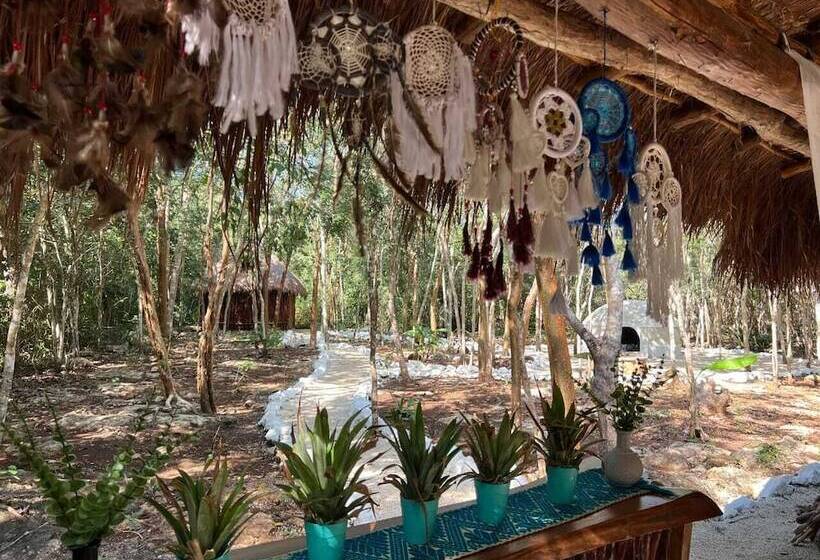 호텔 Boutique Cenote Secreto Maya