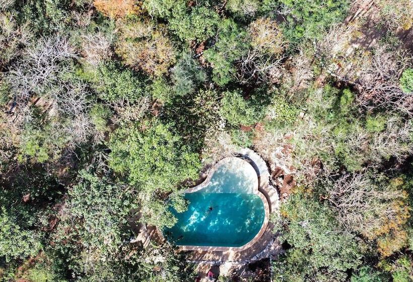 호텔 Boutique Cenote Secreto Maya