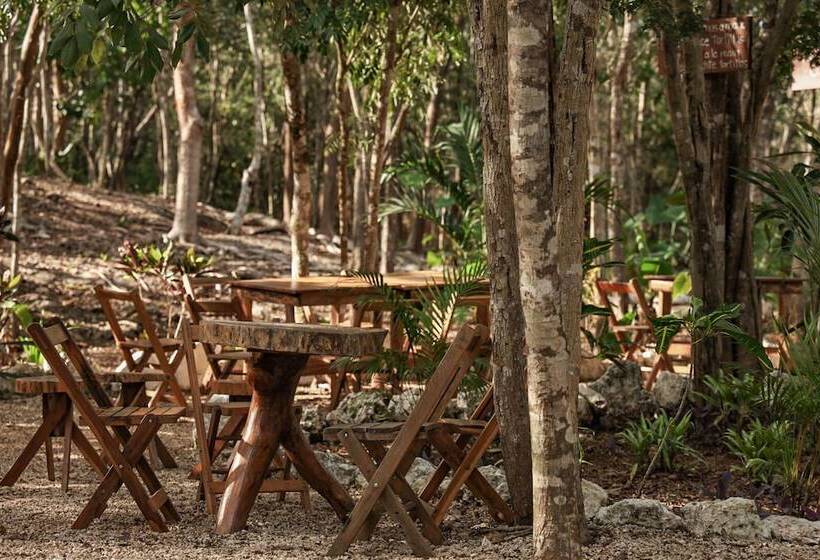 호텔 Boutique Cenote Secreto Maya