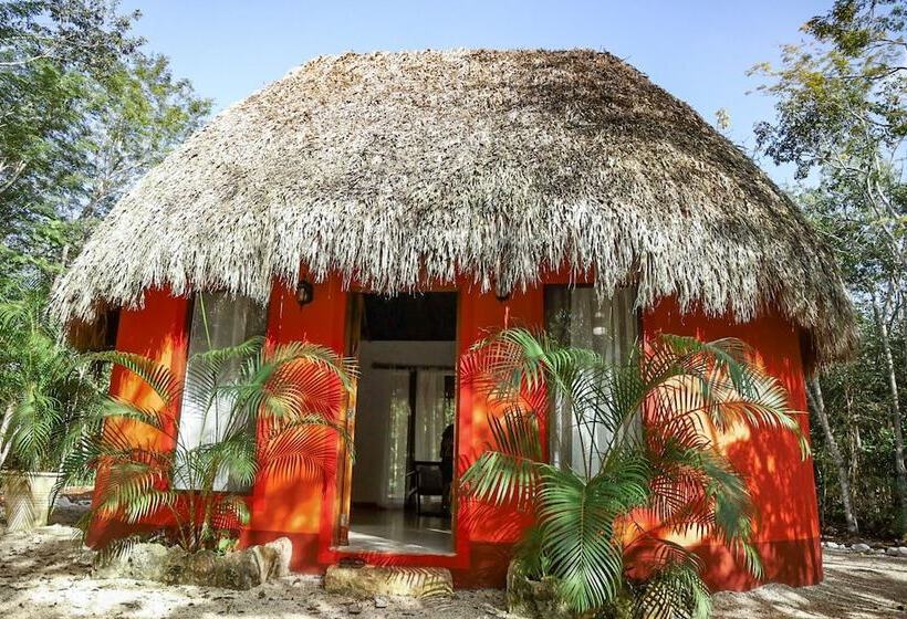 호텔 Boutique Cenote Secreto Maya