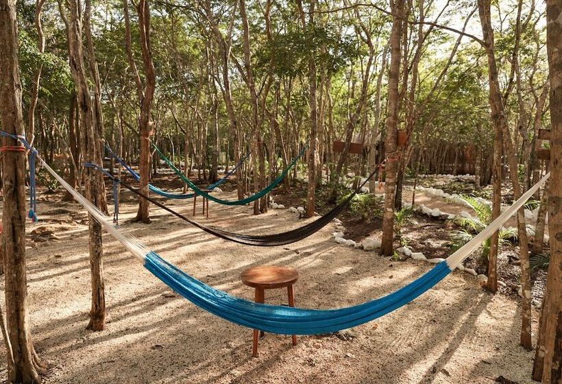 호텔 Boutique Cenote Secreto Maya