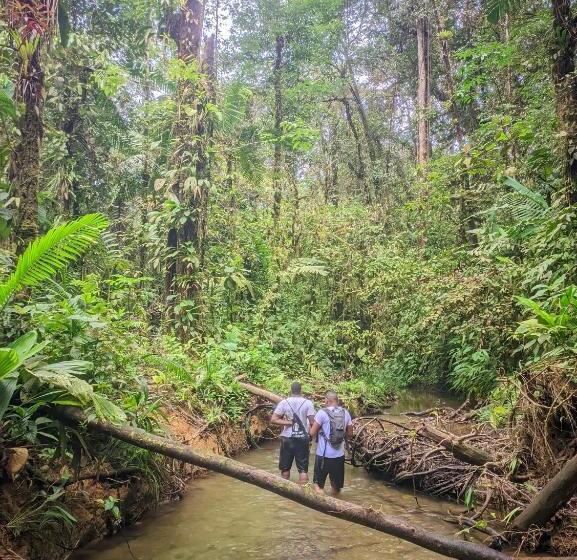酒店 Comodo Alojamiento En San Cipriano