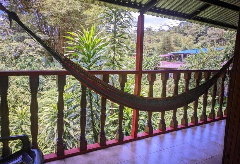 酒店 Comodo Alojamiento En San Cipriano