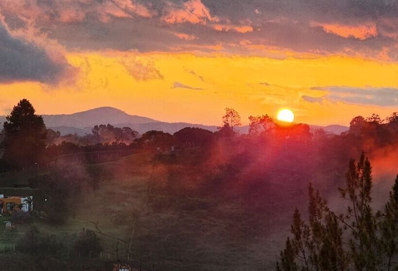 فندق Container & Hobbit Glamping