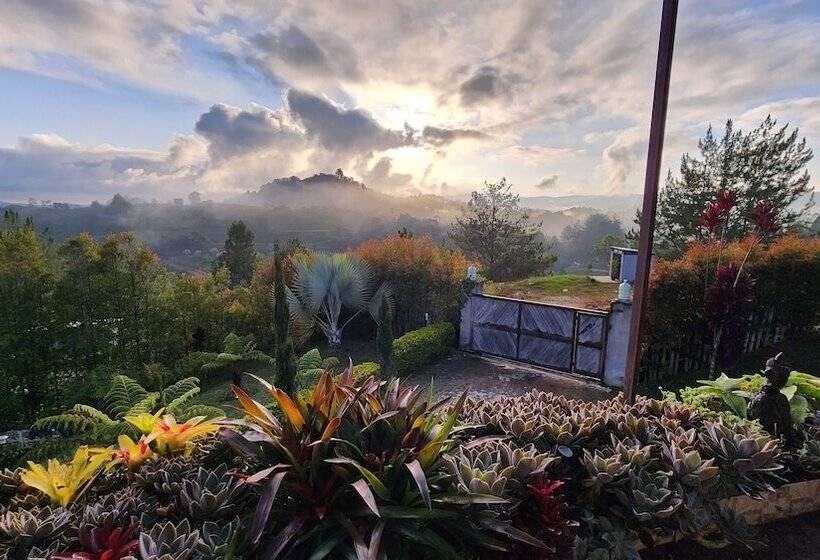 فندق Container & Hobbit Glamping