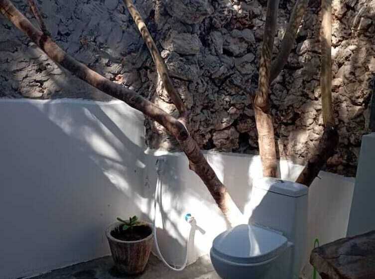 ホテル Dreamland Bungalows