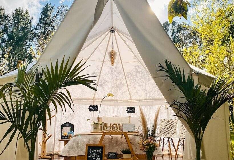 Отель Glamping Vital Spa