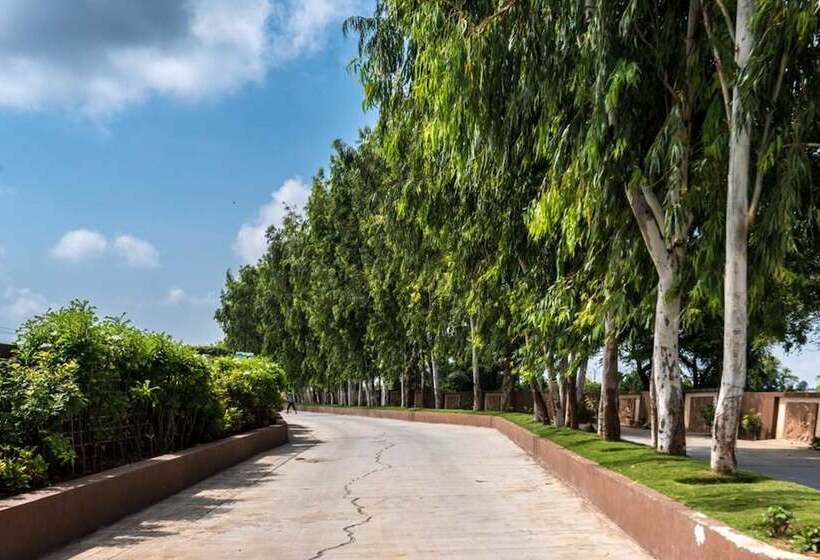 בית מלון כפרי Green Paradise