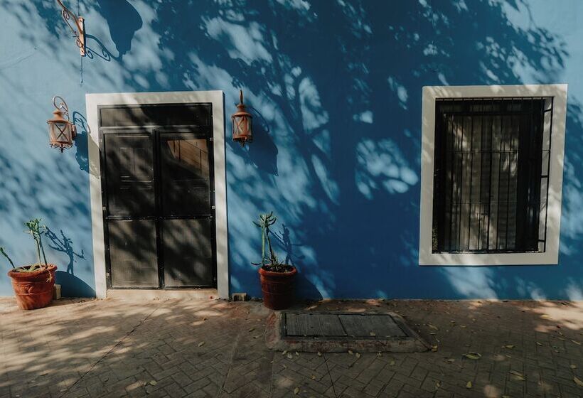 בית מלון כפרי Hostel Nido Del Colibrí