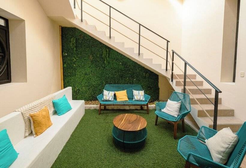 בית מלון כפרי Hostel Nido Del Colibrí