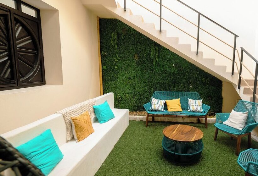 בית מלון כפרי Hostel Nido Del Colibrí