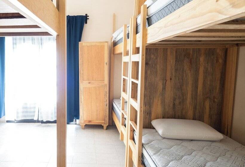 בית מלון כפרי Hostel Nido Del Colibrí