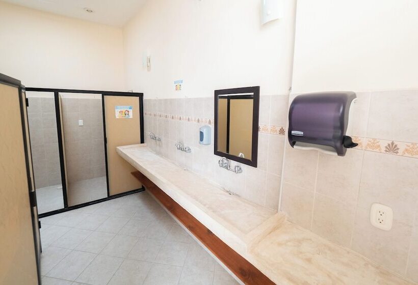 בית מלון כפרי Hostel Nido Del Colibrí