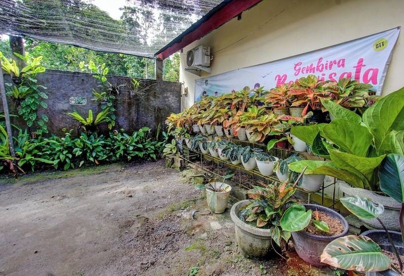 酒店 Inn Homestay By Oyo