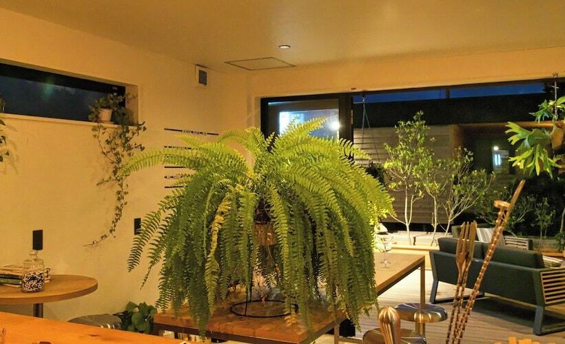 Отель Local Base