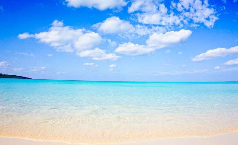 Отель Local Base