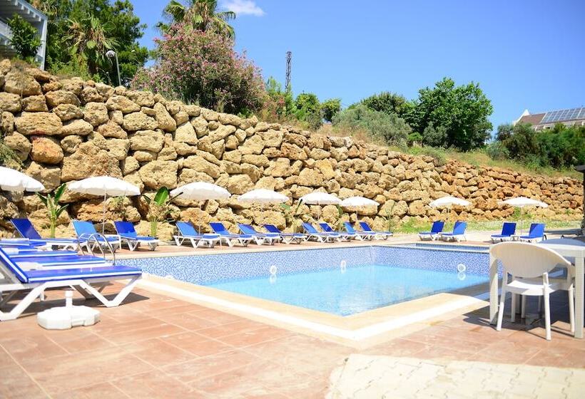 酒店 Lofts Alanya Lina