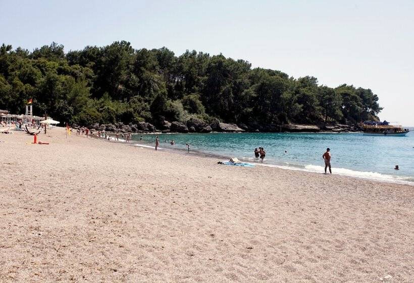 酒店 Lofts Alanya Lina