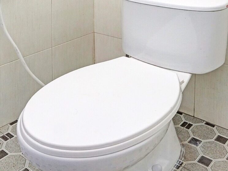 בית מלון כפרי Nova Homestay By Oyo