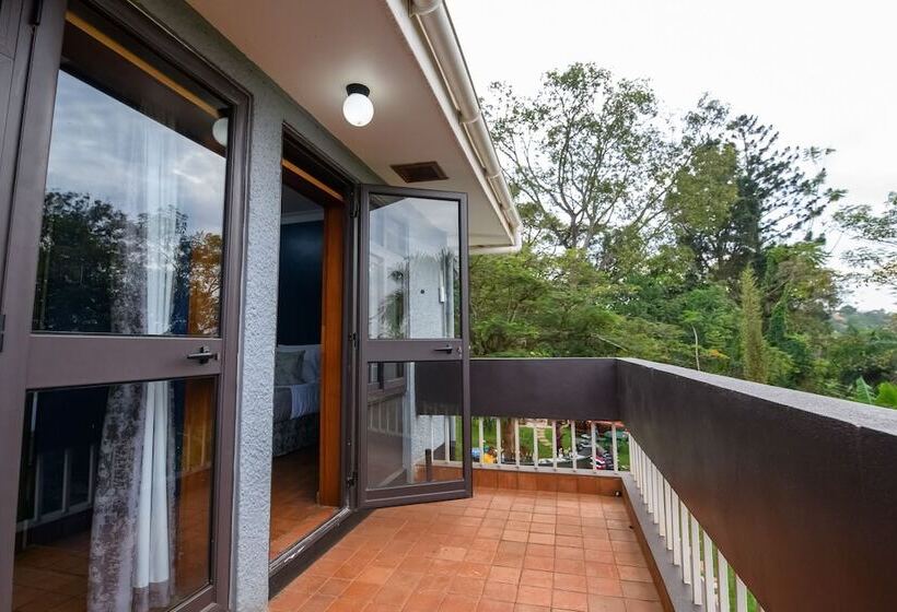 فندق Pangolin Nest Boutique