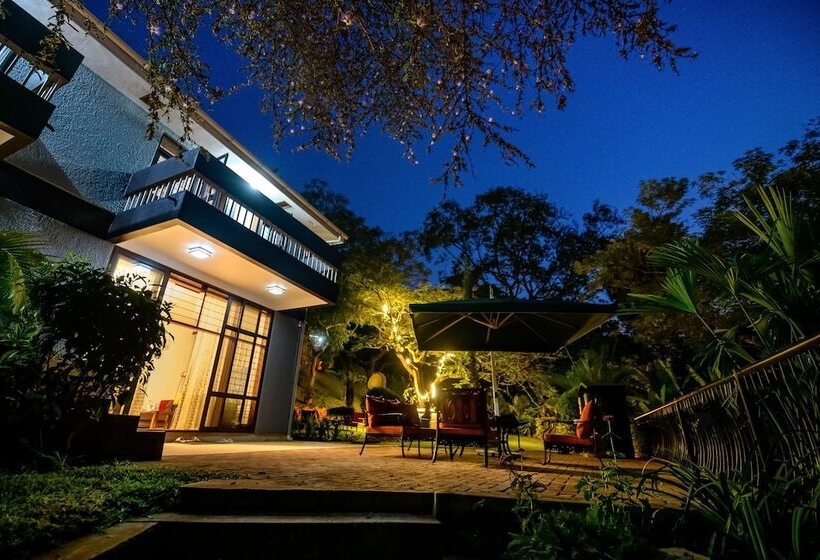 فندق Pangolin Nest Boutique