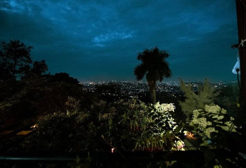 فندق Pangolin Nest Boutique