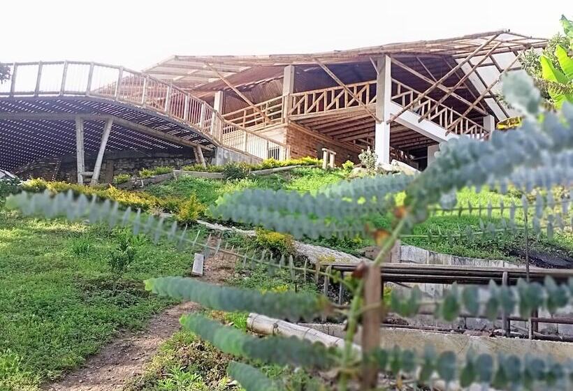 Отель Pia Colombia