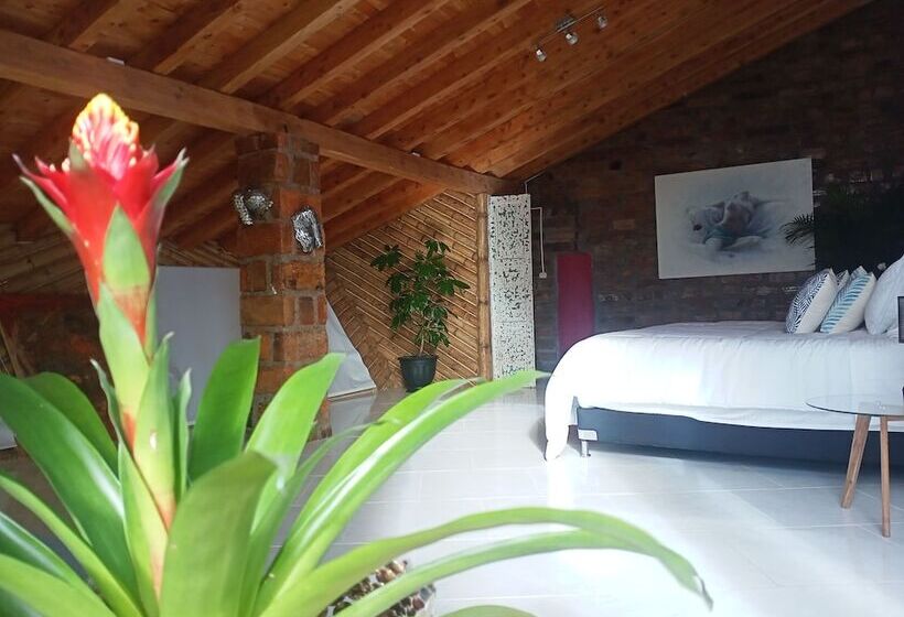 Отель Pia Colombia