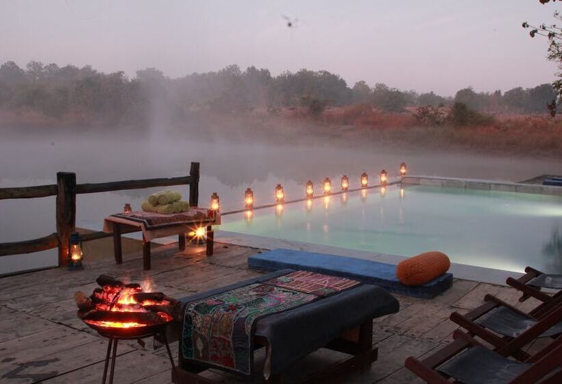 ホテル Saccharum Safari Lodge