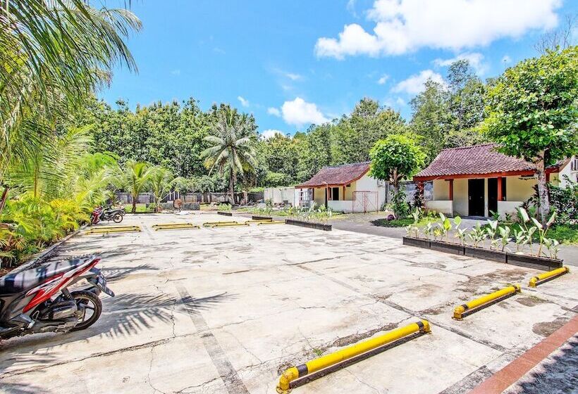 Отель Spot On 92257 Orchid Guest House