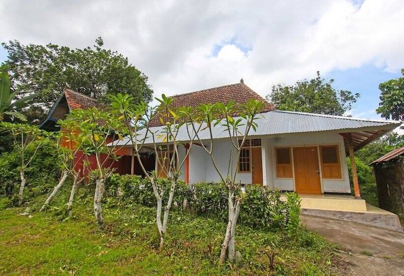 בית מלון כפרי Spot On 92567 Jati Homestay Near Taman Suranadi