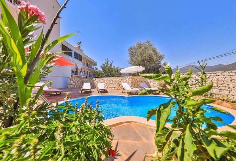 酒店 Tübin Kültür Evi