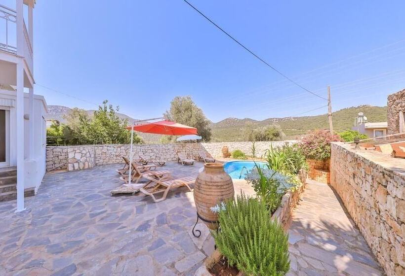 酒店 Tübin Kültür Evi