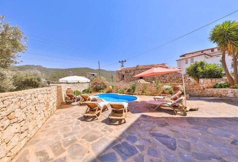 酒店 Tübin Kültür Evi