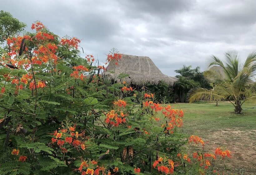 בית מלון כפרי Territorio Magico
