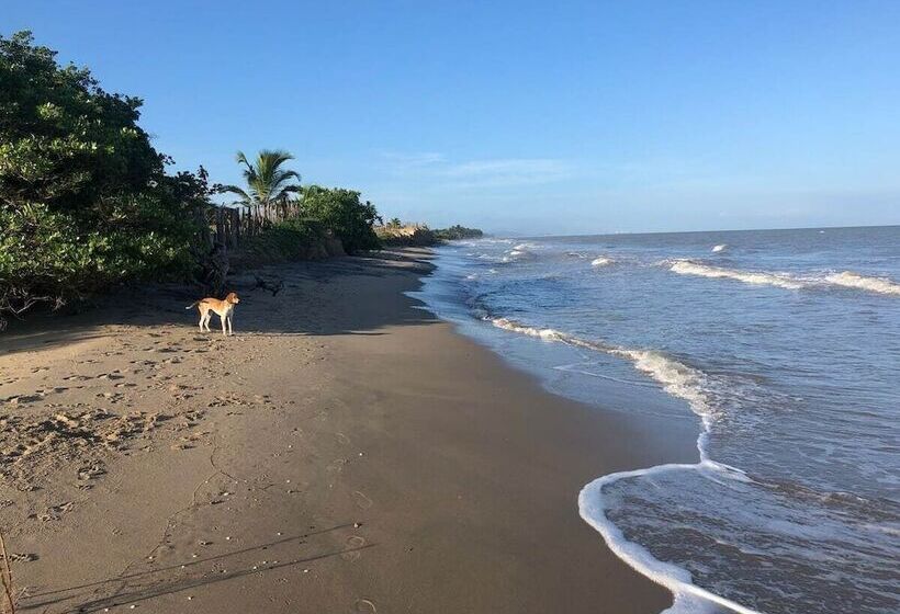 هتل Territorio Magico