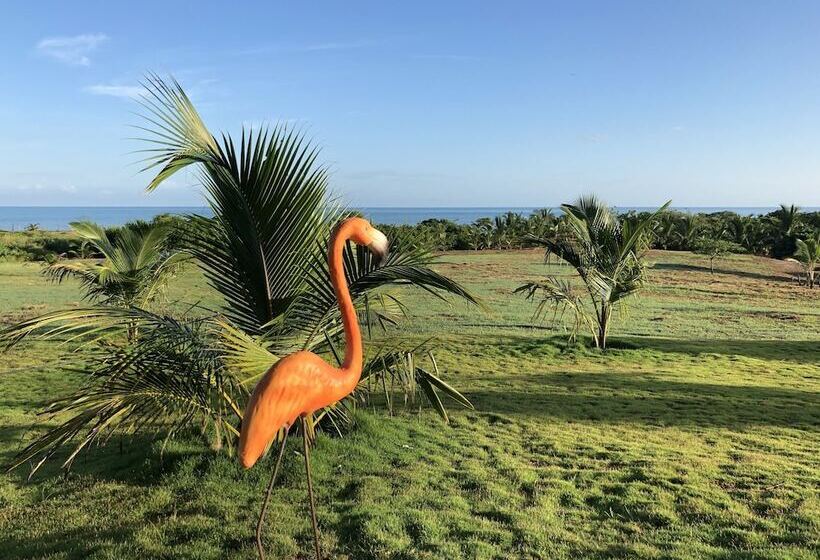 בית מלון כפרי Territorio Magico