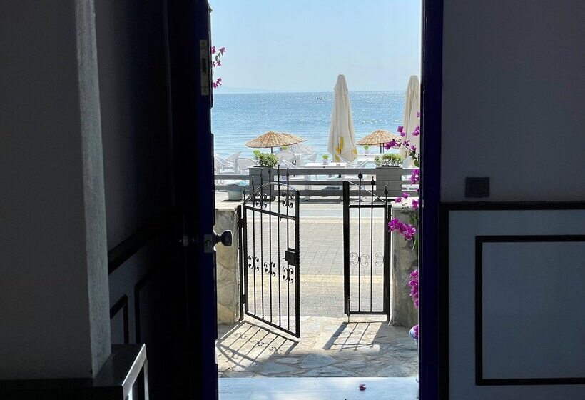 Отель Villa Ece Pension