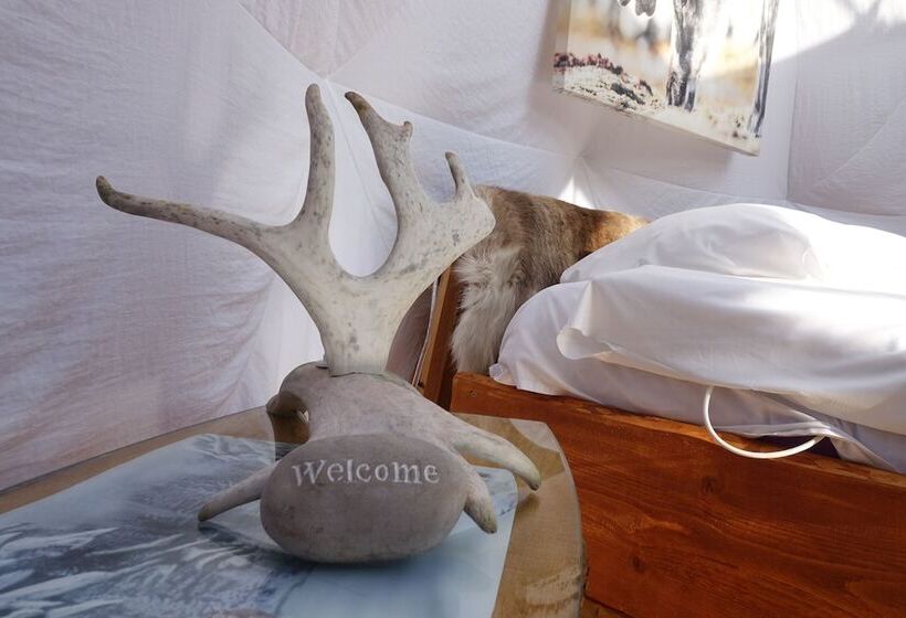 בית מלון כפרי Wild Caribou Dome