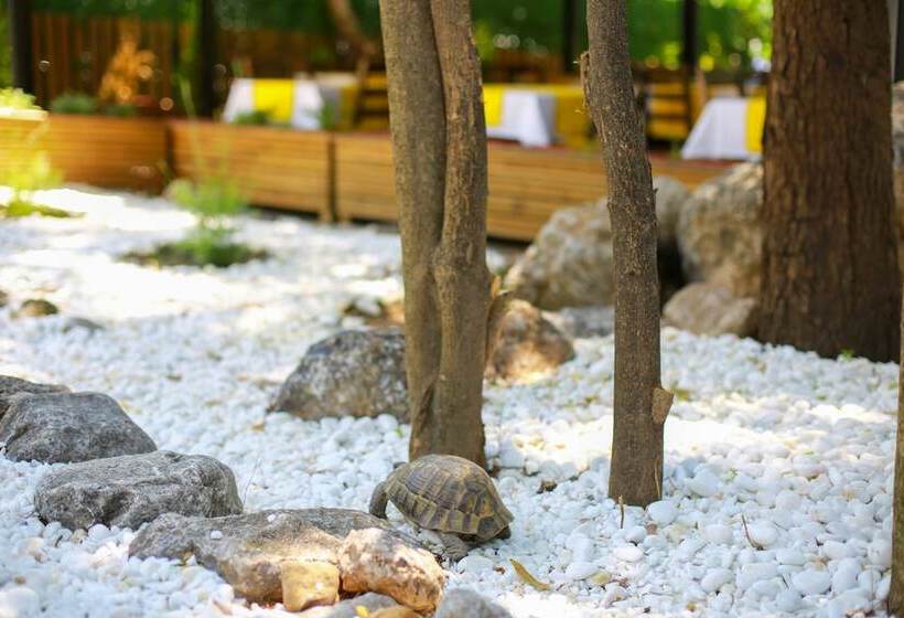 בית מלון כפרי Yali Capkini Akyaka Boutique