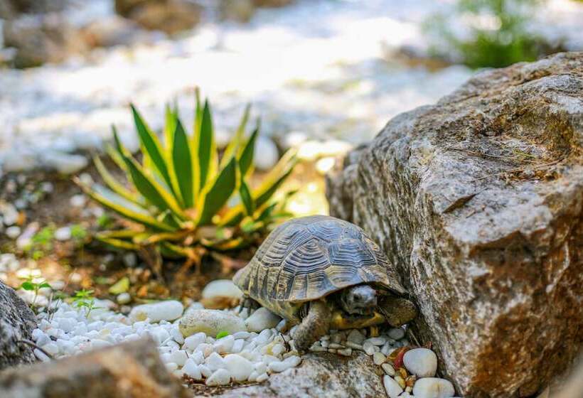 בית מלון כפרי Yali Capkini Akyaka Boutique