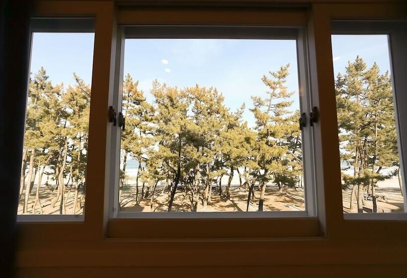 Мотель Gangneung Gyeongpodae Santorini