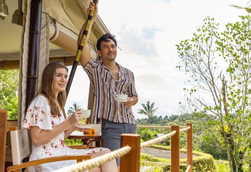 Nadi Nature Resort   Adults Only