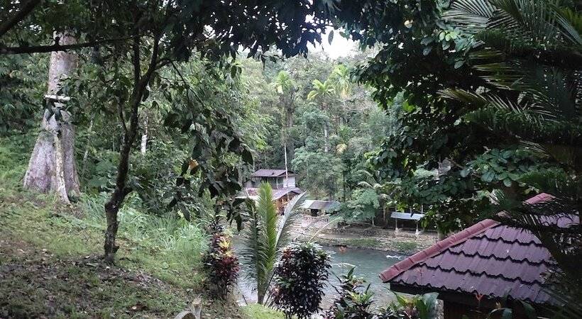 بنسيون Batu Katak Gibbon Guesthouse