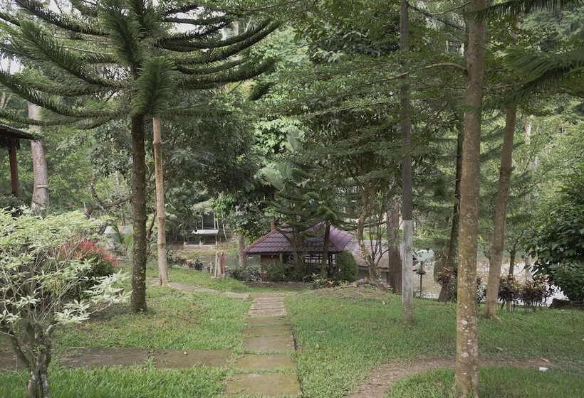 بنسيون Batu Katak Gibbon Guesthouse